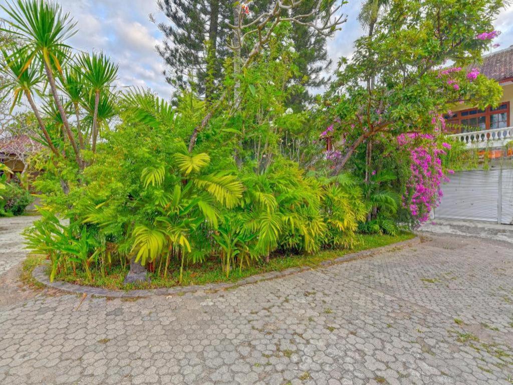Oyo 91503 Hotel Gedong Ayu Near Sanur ウブド エクステリア 写真